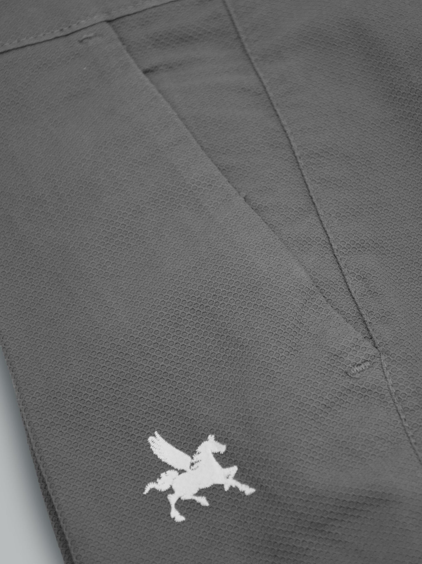 Pantalon en coton Dino