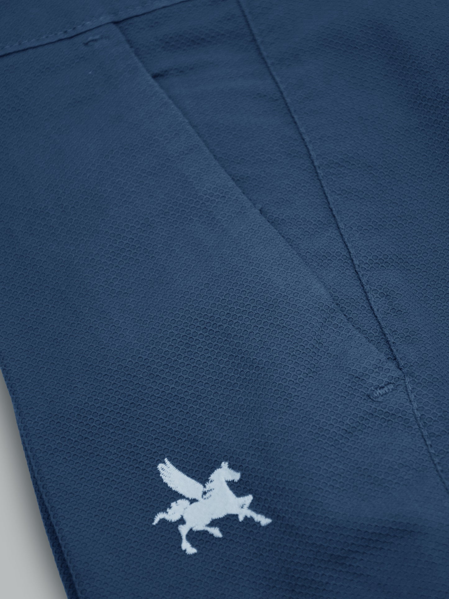 Pantalon en coton Dino