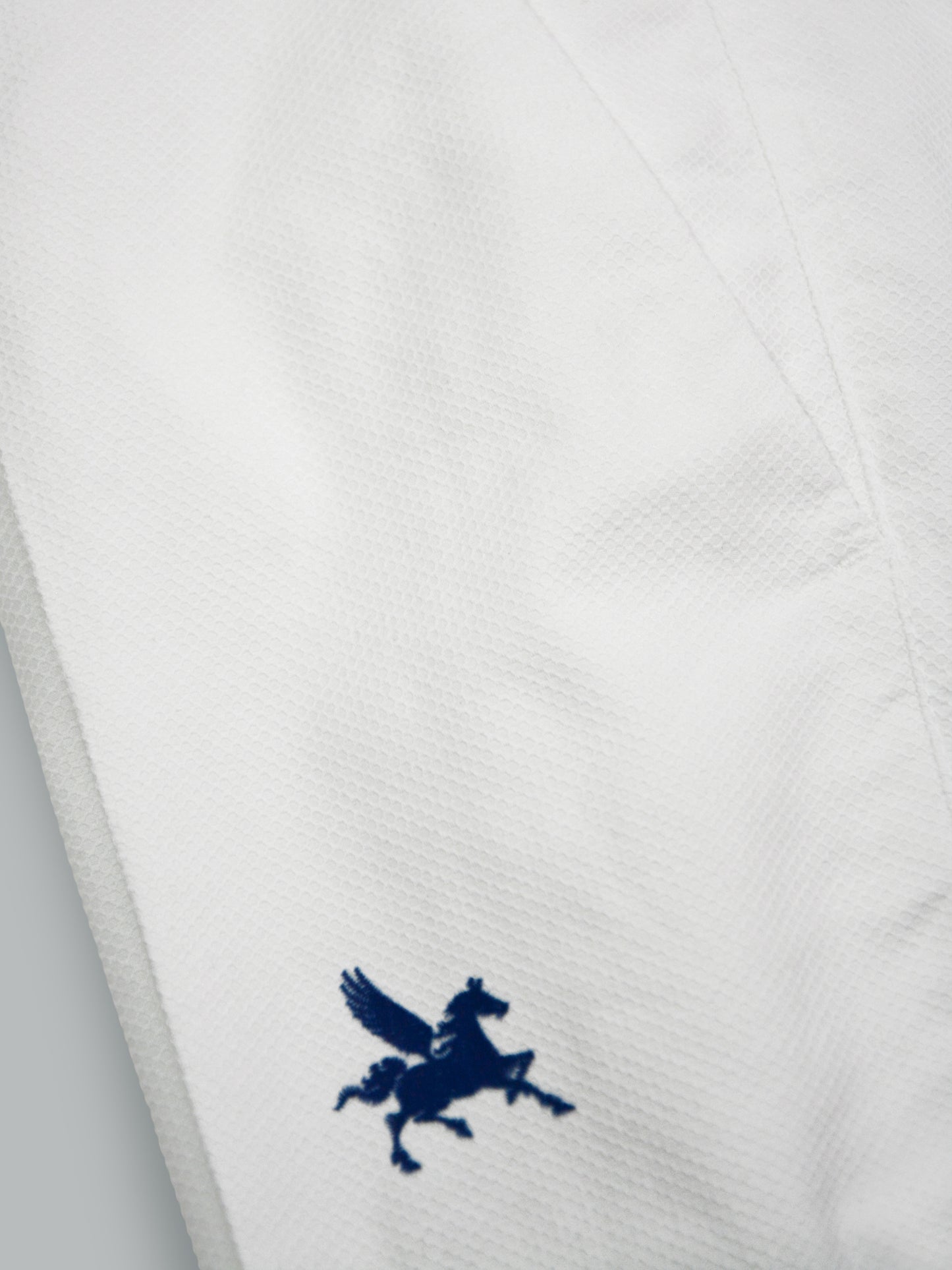 Pantalon en coton Dino