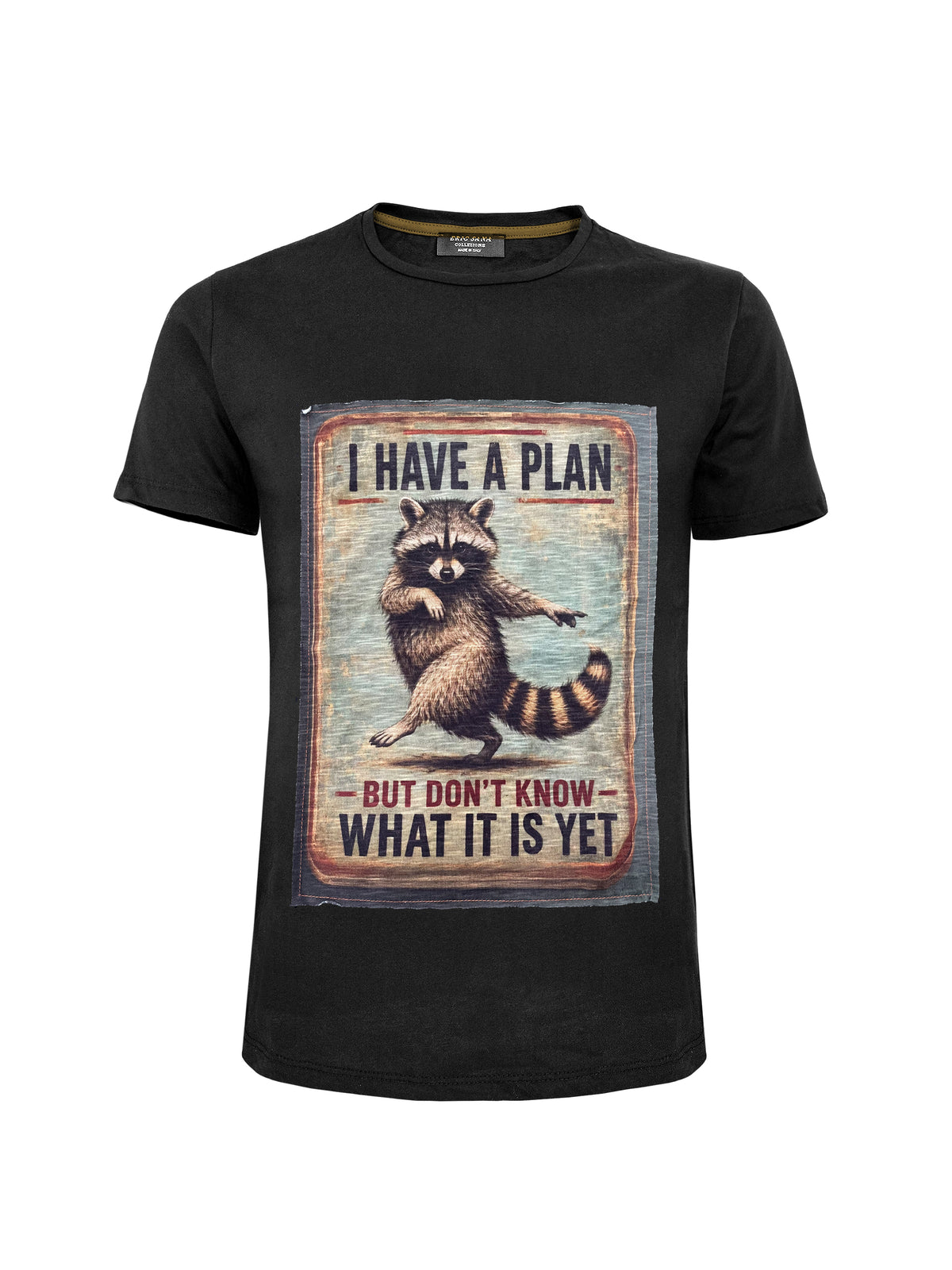 Graphic Tee Raccoon